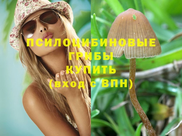 apvp Абинск