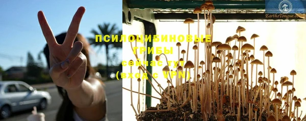 соль курить ск Покровск